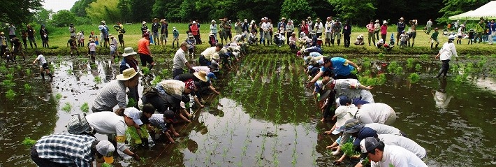 野山北・六道山公園 写真